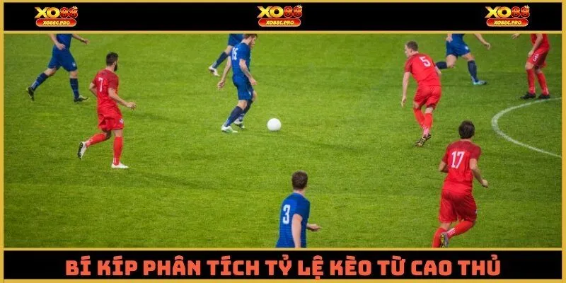 Soi kèo nhà cái