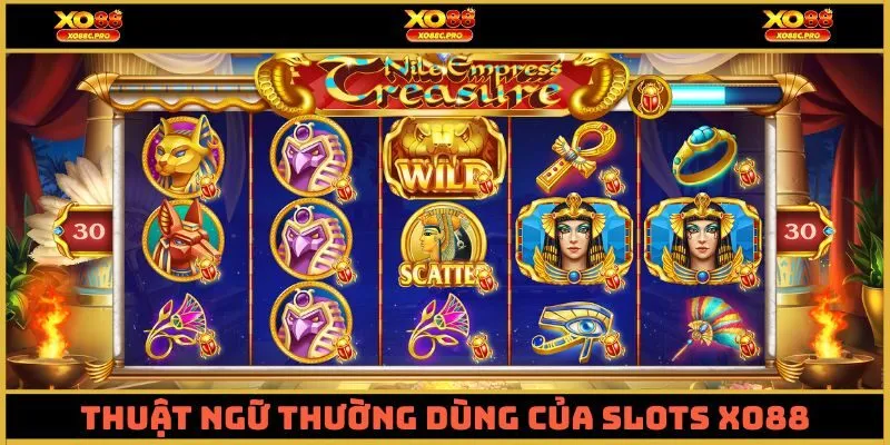 Thuật ngữ thường dùng của Slots XO88